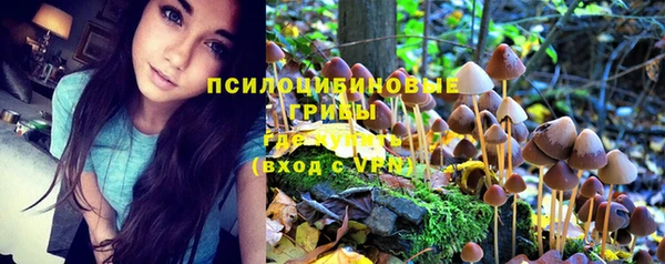 марки nbome Гусь-Хрустальный