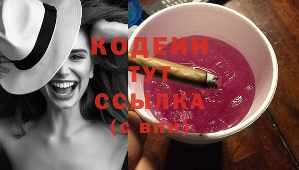 спиды Дмитриев