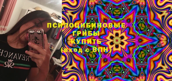 соль ск Дмитровск