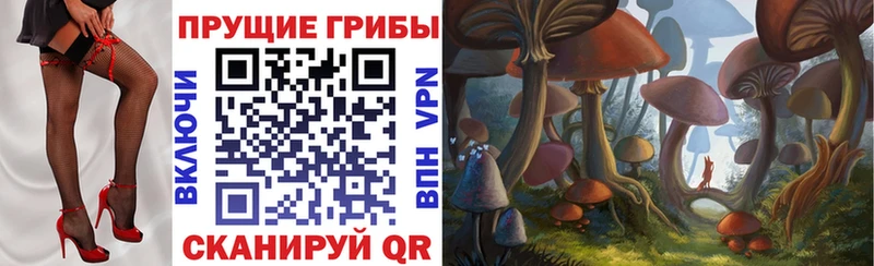 Купить где  Новоалтайск  Псилоцибиновые грибы Magic Shrooms 
